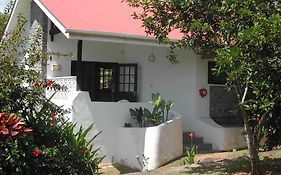 Daniella's Bungalows